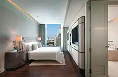 جناح جونيور